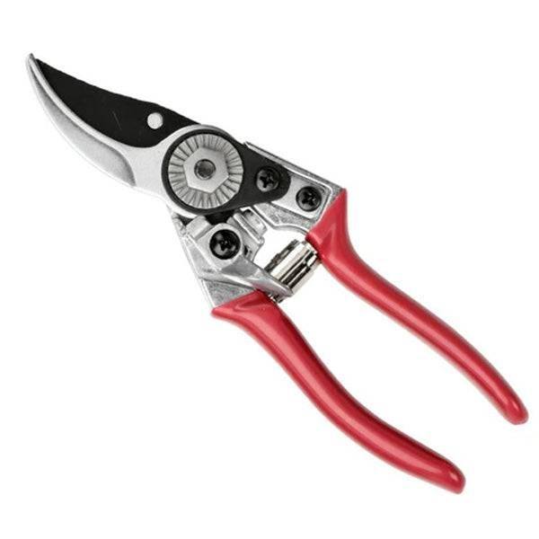 Pruner/Holster Gift Set - British Bloom - Hicks Nurseries