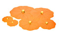 Pumpkin Silicone Lid