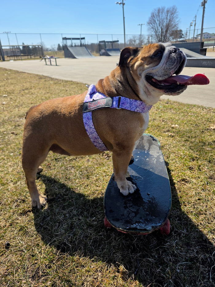 Purple Floral BullHug Dog Harness – Non-Choking, Adjustable