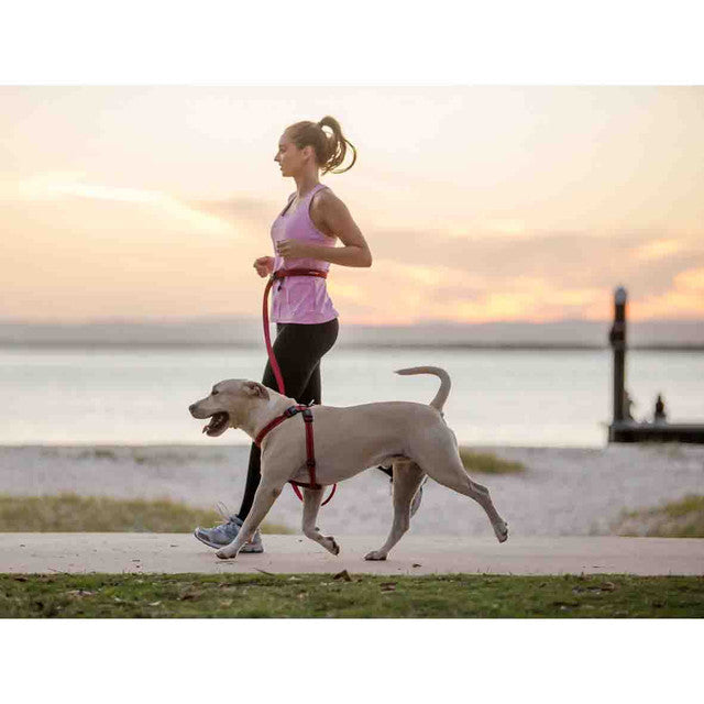 Road Runner™ Leash