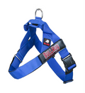 Royal Blue BullHug Dog Harness – Non-Choking, Adjustable