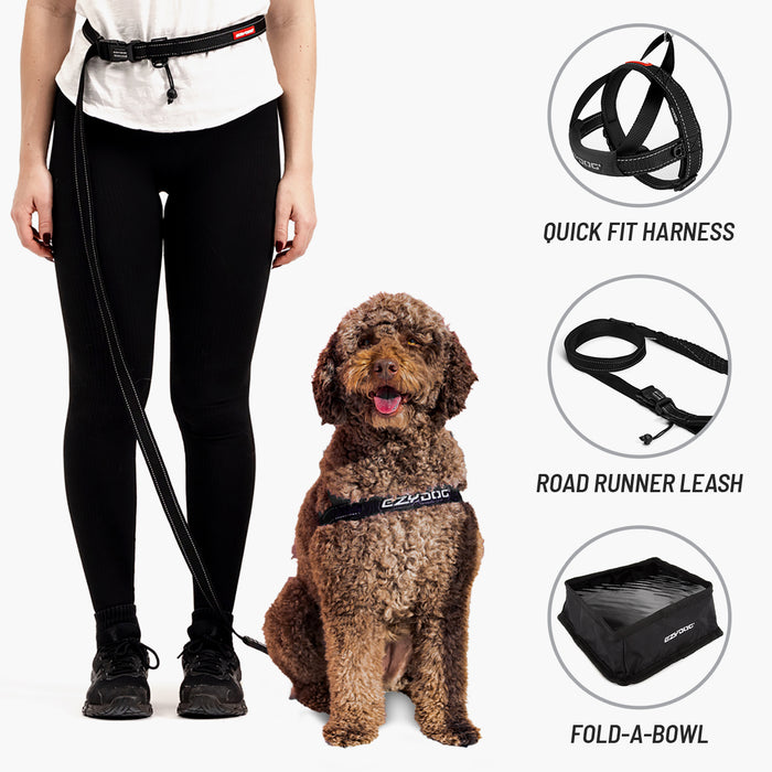 Person holding a dog leash with a dog wearing an EzyDog quick fit harness, road runner leash, and fold-a-bowl.