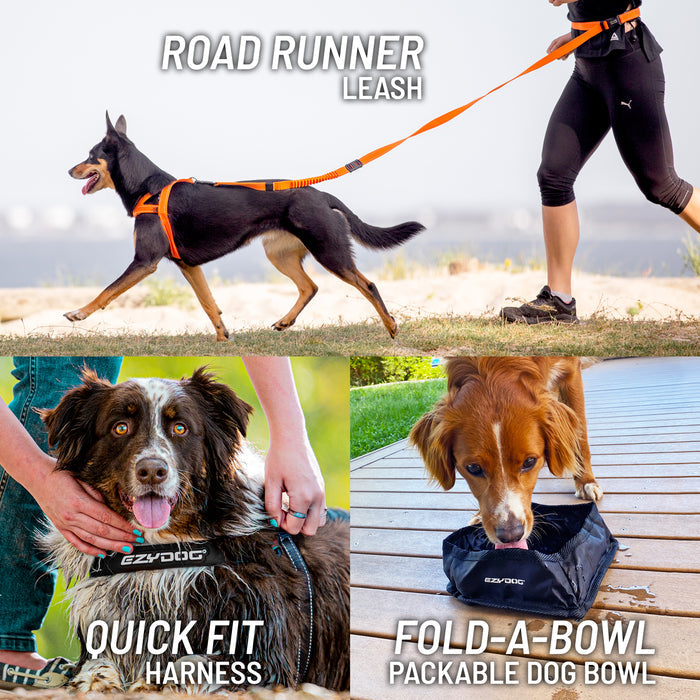 Collage of dog products including a leash, harness, and bowl with text labels.