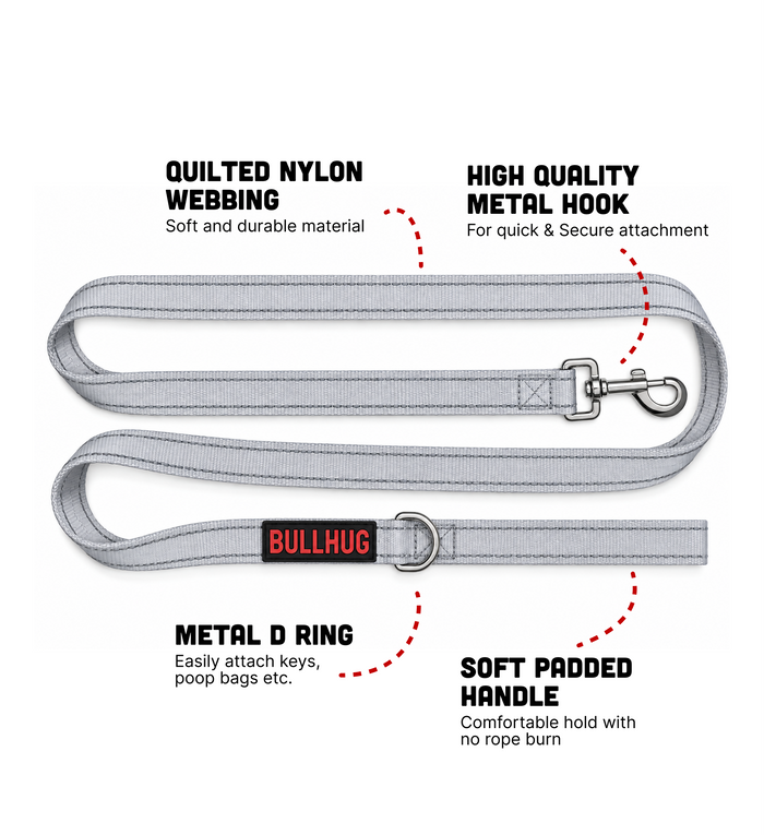 Silver BullHug 6ft Dog Leash – Padded Handle