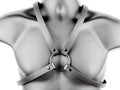 SKINNY 3/4" Vertical Cross Body Harness D Rings Snap Adjustable