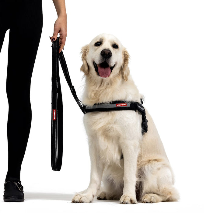 Dog wearing a harness with a person holding a leash on a white background