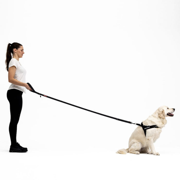 Woman walking a dog on a leash against a white background