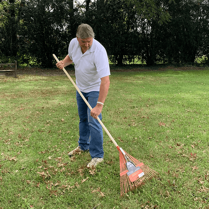 Springback Rake - 24-inches - Hicks Nurseries