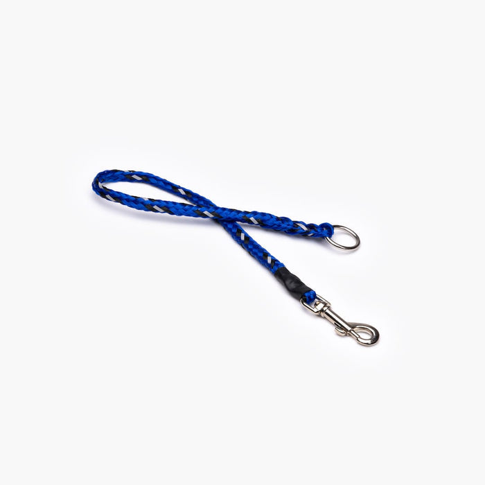A blue bungee leash extension with a metal clasp on each end, isolated on a white background.