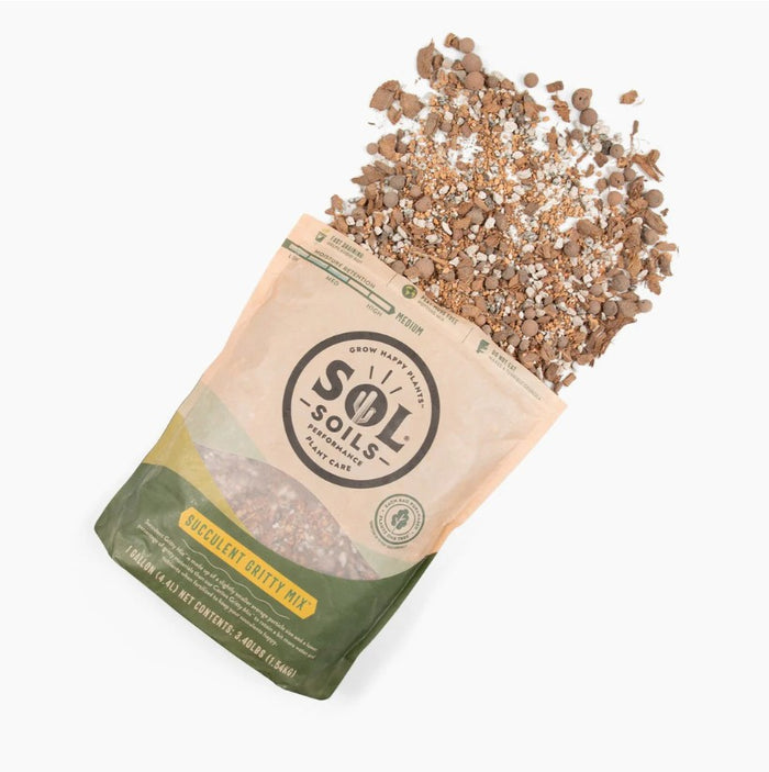 A 2 Qt. bag of Succulent Gritty Mix by Available for Pick-Up & Delivery is tipped over, spilling its coarse, rocky soil onto a white surface—perfect for excellent drainage and healthy succulents.