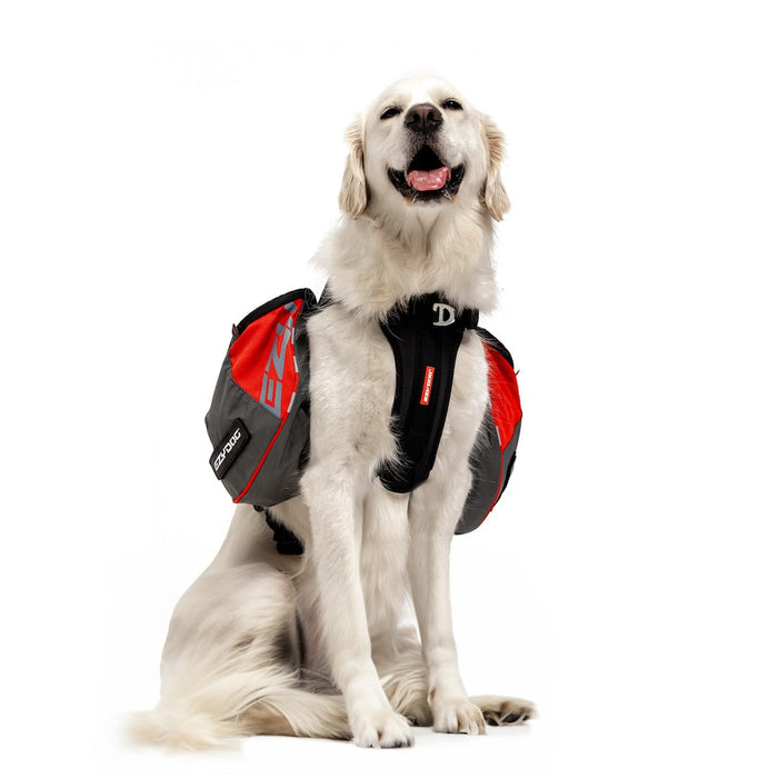 Dog wearing a red and gray backpack on a white background