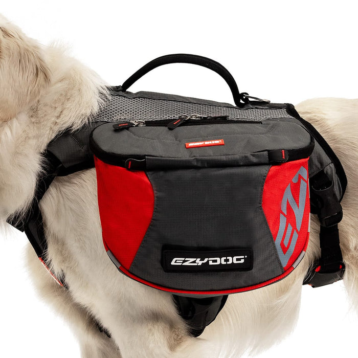 Dog wearing a red and black EzyDog dog harness on a white background