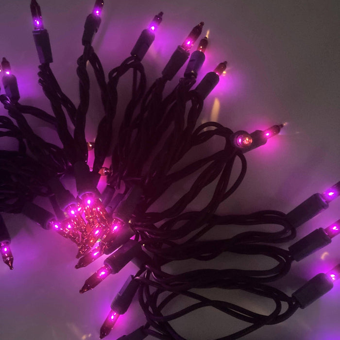 Super Bright Light Set - Purple - Hicks Nurseries