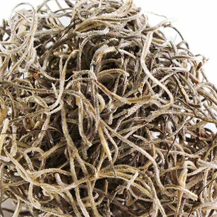 A close-up of SuperMoss® Preserved Spanish Moss (Natural, 8 oz) shows a tangle of thin, curly beige and brown fibers with a natural, fibrous texture against a white background. Available for Pick-Up & Delivery.