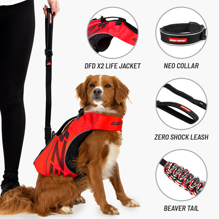 Dog wearing a red life jacket with pet safety equipment icons displayed.