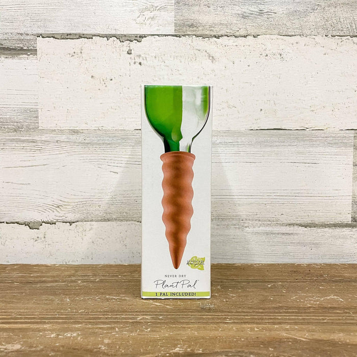 Syndicate - Never Dry Plant Pal™  - Single - Hicks Nurseries