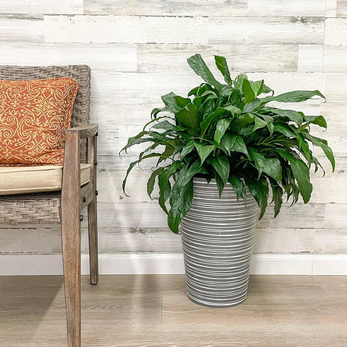 Tall Round Planter Grey - 12-inches - Hicks Nurseries