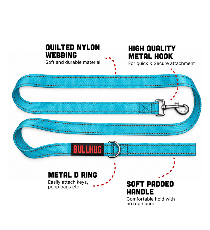 Teal BullHug 6ft Dog Leash – Padded Handle