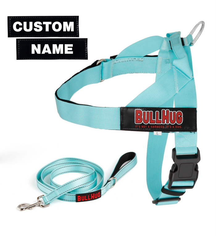 Tiffany Blue BullHug Dog Harness & Leash Combo