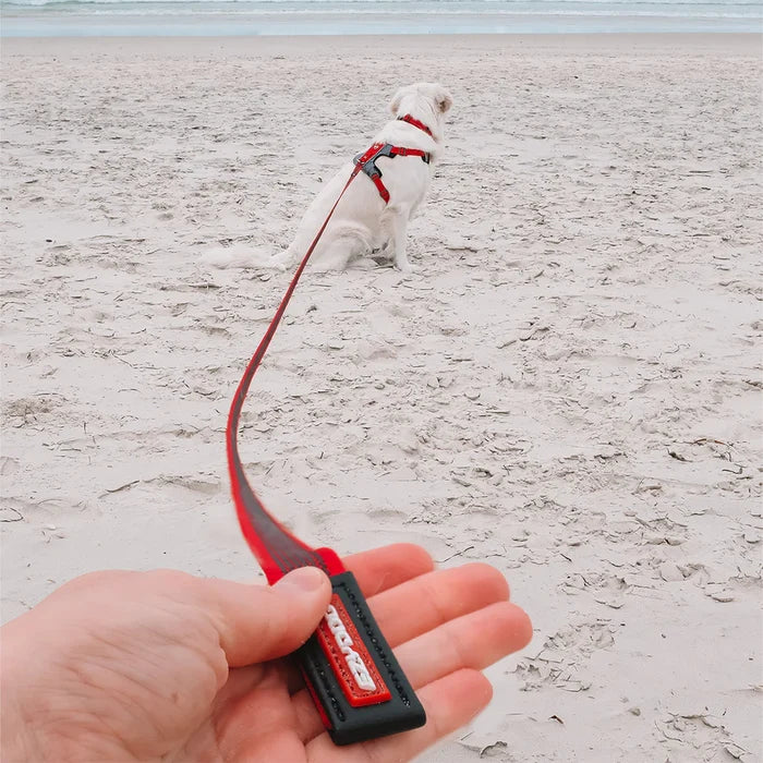 Person holding a red dog leash on a sandy beach with a dog in the background.
