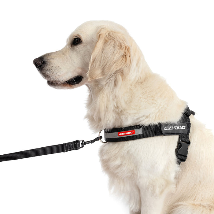 UpFront™ Leash Attachment