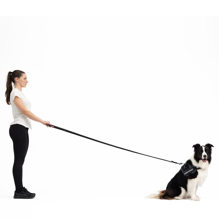 Woman holding a dog leash with a dog sitting on a white background