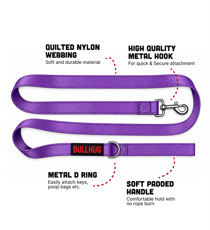 Violet BullHug 6ft Dog Leash – Padded Handle