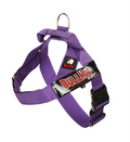 Violet BullHug Dog Harness – Non-Choking, Adjustable