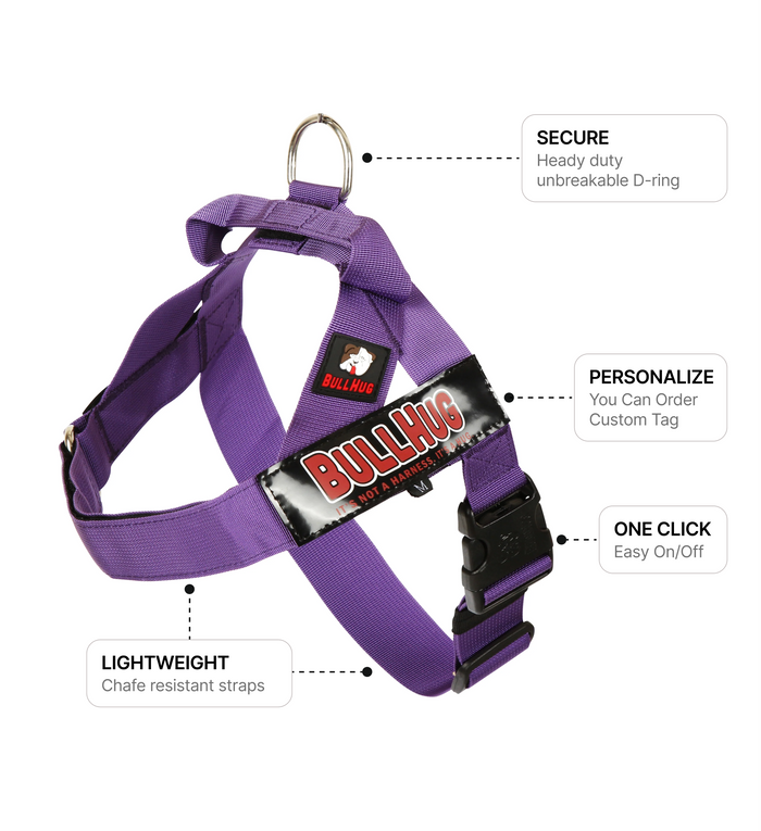 Violet BullHug Dog Harness – Non-Choking, Adjustable