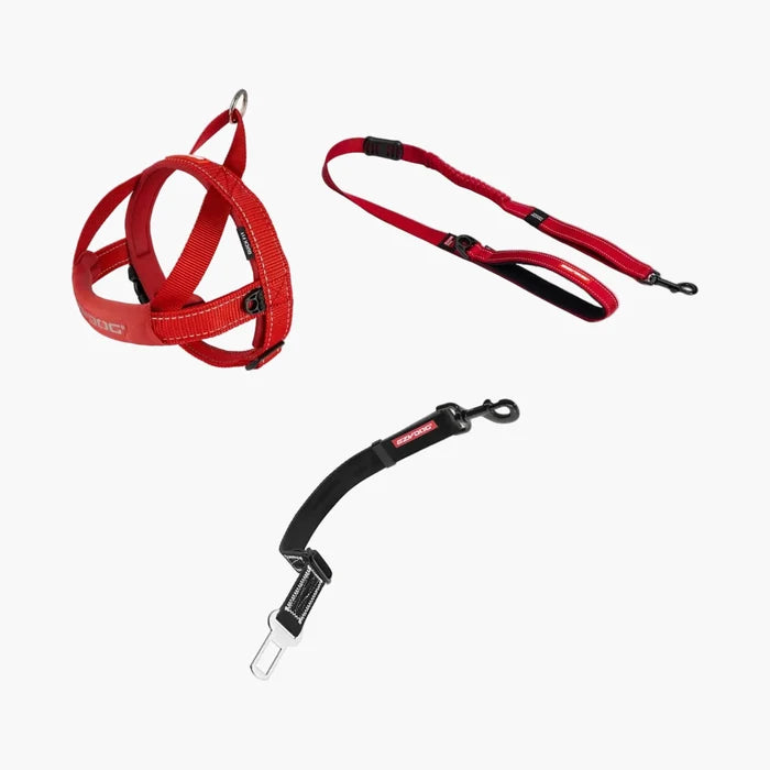 Red dog harness and leash set on a white background