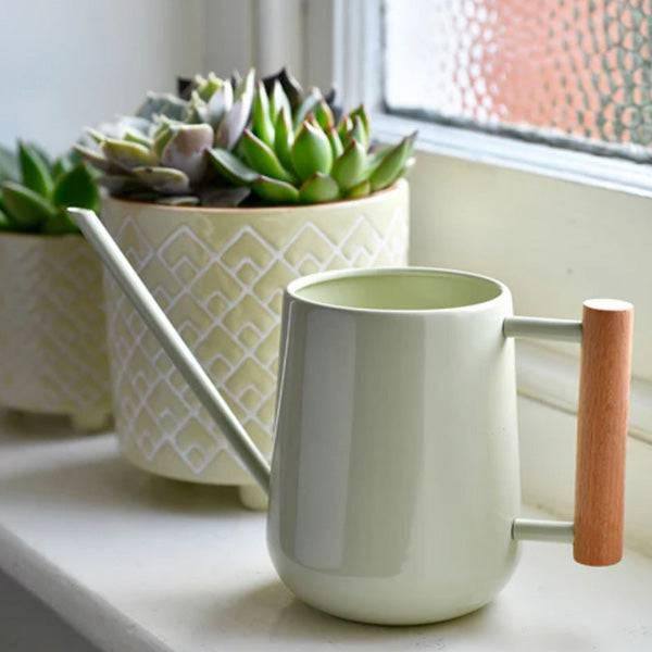 Watering Can - Indoor - Jade - Hicks Nurseries