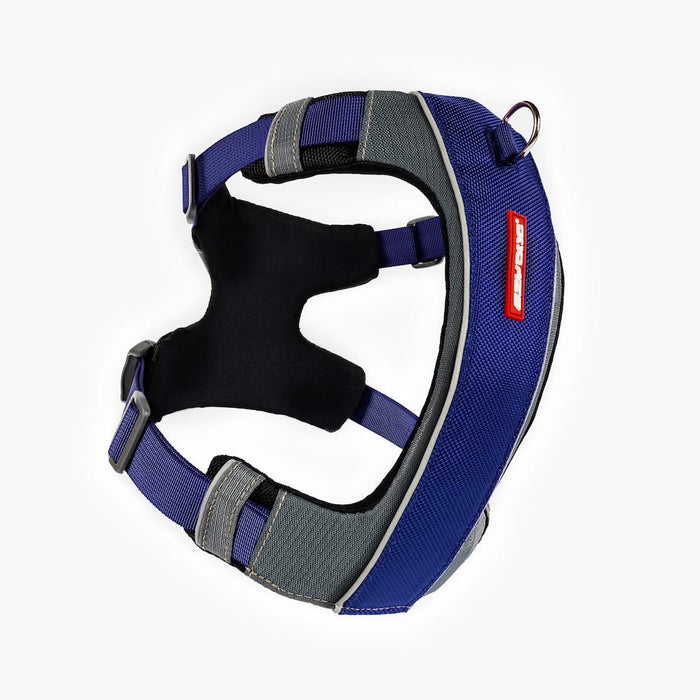 Blue X-Link dog harness front angle on white background